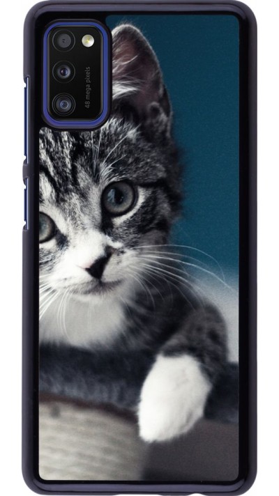 Coque Samsung Galaxy A41 - Meow 23