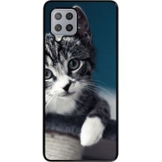 Hülle Samsung Galaxy A42 5G - Meow 23