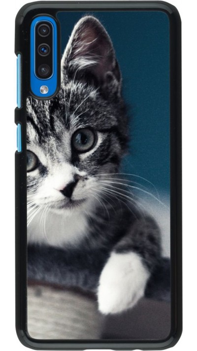 Coque Samsung Galaxy A50 - Meow 23