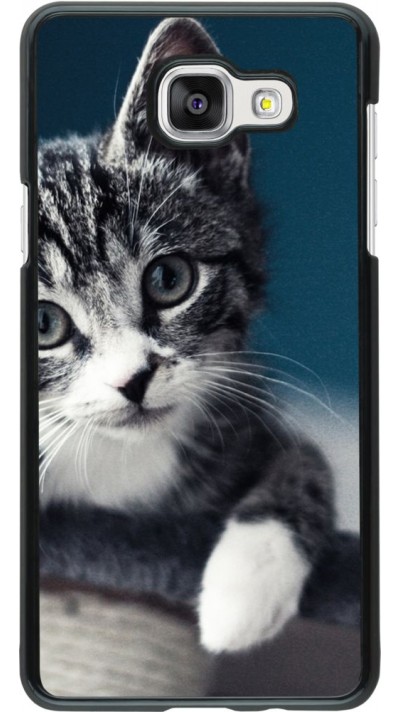Coque Samsung Galaxy A5 (2016) - Meow 23