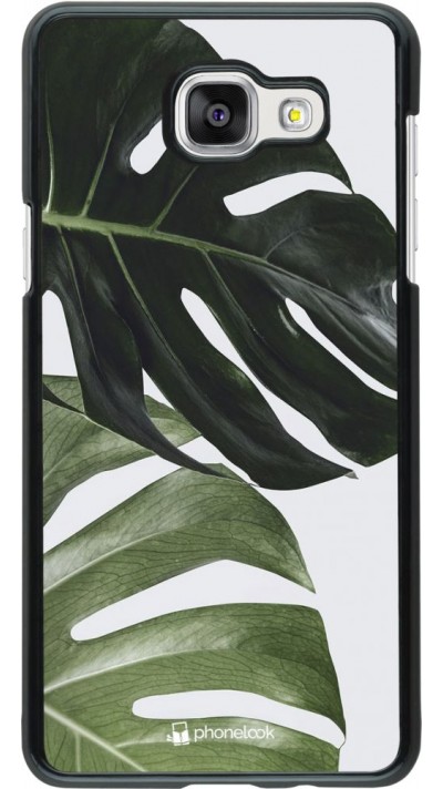 Coque Samsung Galaxy A5 (2016) - Monstera Plant