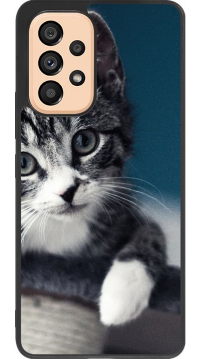 Coque Samsung Galaxy A53 5G - Silicone rigide noir Meow 23