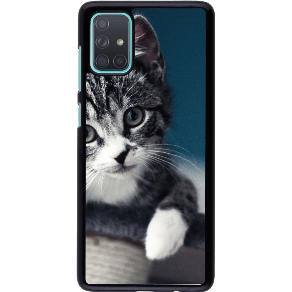 Coque Samsung Galaxy A71 - Meow 23