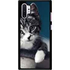 Coque Samsung Galaxy Note 10+ - Meow 23