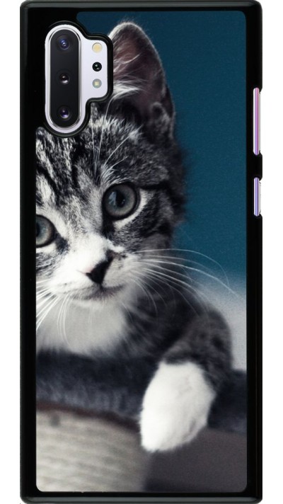 Coque Samsung Galaxy Note 10+ - Meow 23