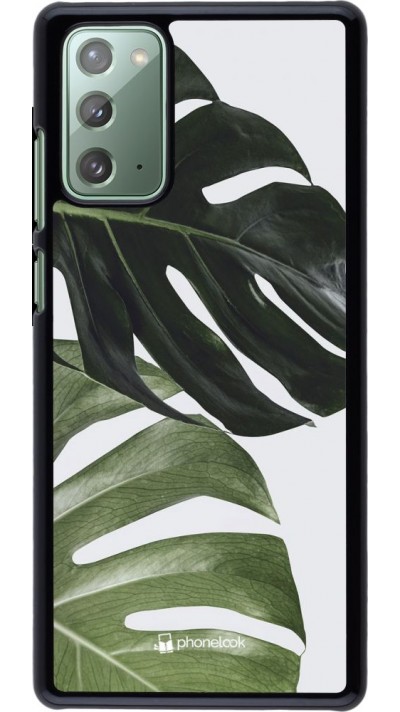 Coque Samsung Galaxy Note 20 - Monstera Plant