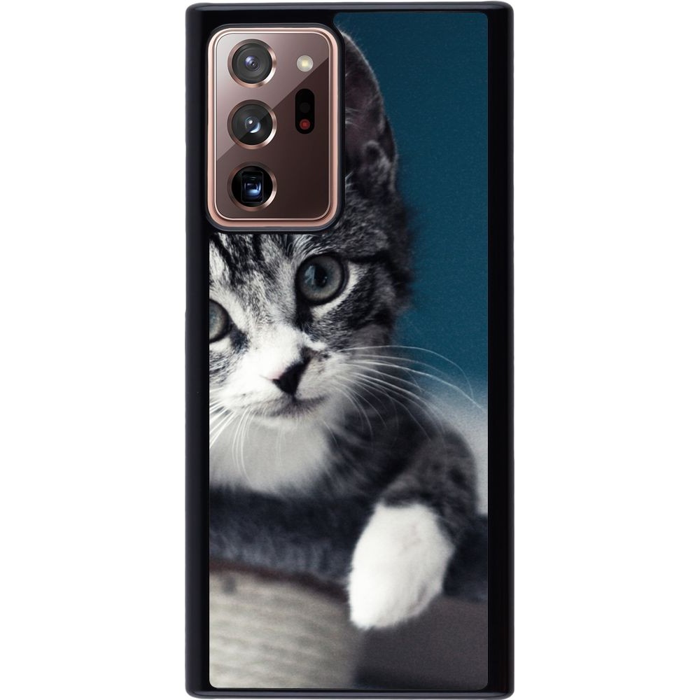 Coque Samsung Galaxy Note 20 Ultra - Meow 23