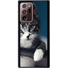 Coque Samsung Galaxy Note 20 Ultra - Meow 23