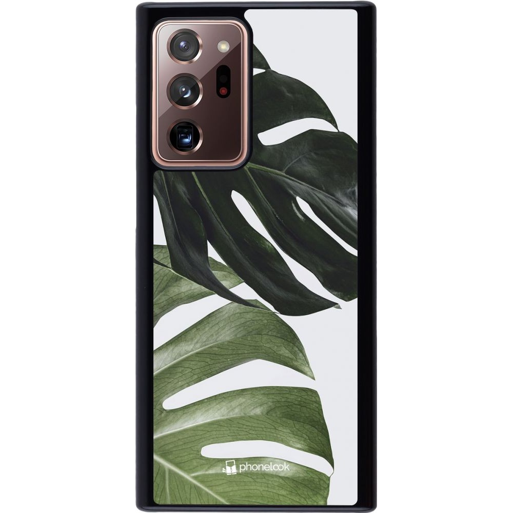 Coque Samsung Galaxy Note 20 Ultra - Monstera Plant