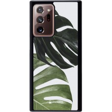 Coque Samsung Galaxy Note 20 Ultra - Monstera Plant