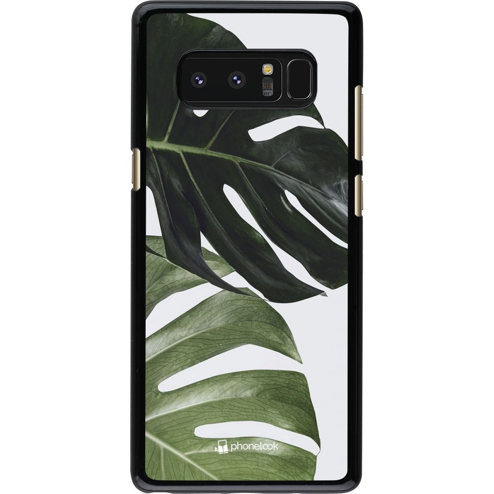 Hülle Samsung Galaxy Note8 - Monstera Plant