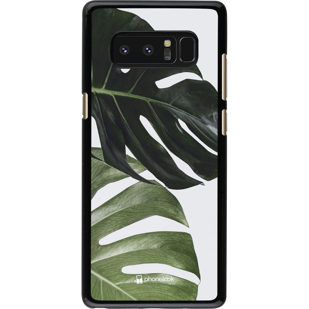 Coque Samsung Galaxy Note8 - Monstera Plant