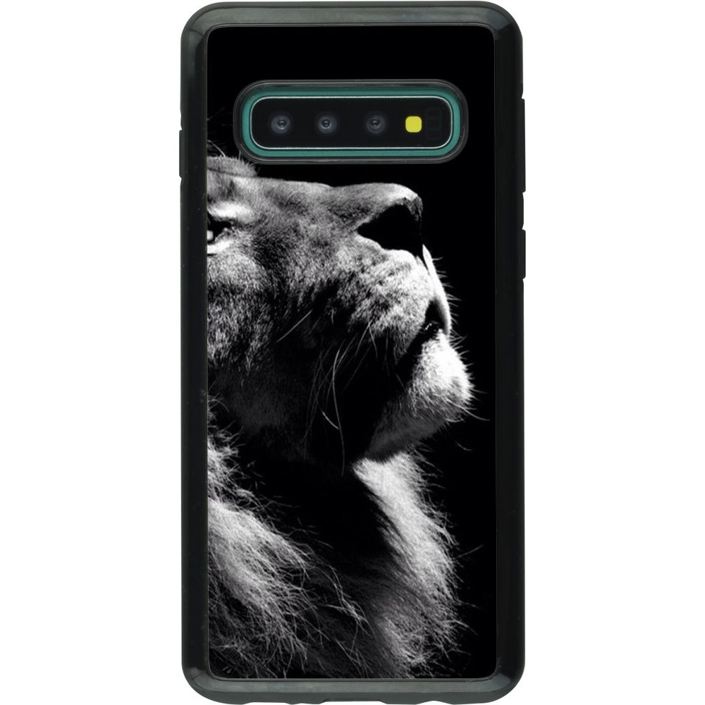 Hülle Samsung Galaxy S10 - Hybrid Armor schwarz Lion looking up