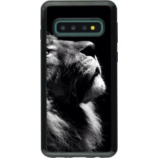 Hülle Samsung Galaxy S10 - Hybrid Armor schwarz Lion looking up