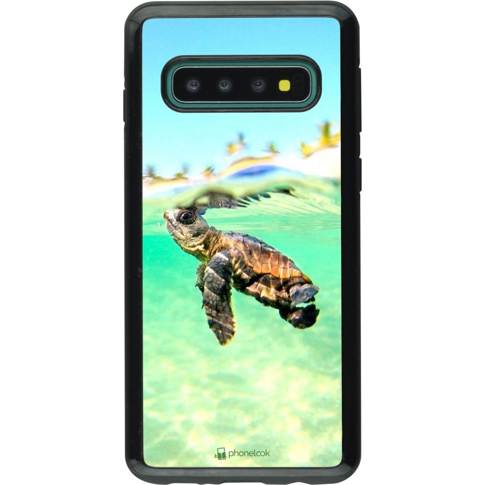 Coque Samsung Galaxy S10 - Hybrid Armor noir Turtle Underwater