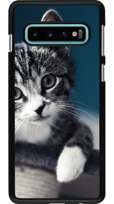 Hülle Samsung Galaxy S10 - Meow 23