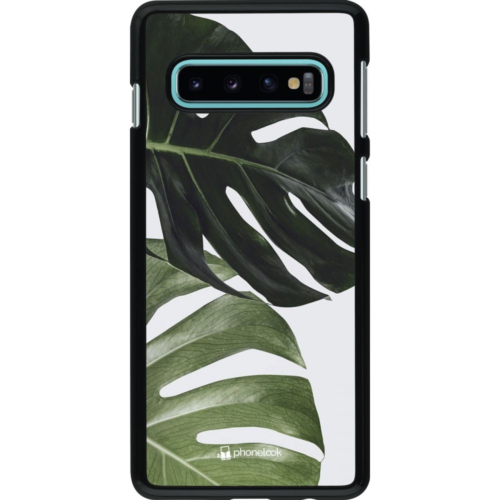 Coque Samsung Galaxy S10 - Monstera Plant