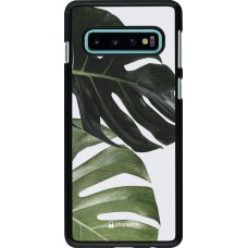 Coque Samsung Galaxy S10 - Monstera Plant