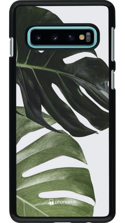 Coque Samsung Galaxy S10 - Monstera Plant