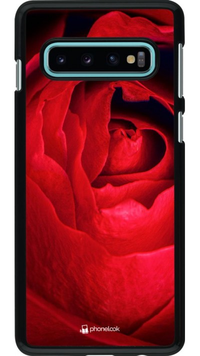 Coque Samsung Galaxy S10 - Valentine 2022 Rose