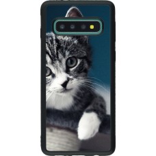 Hülle Samsung Galaxy S10 - Silikon schwarz Meow 23