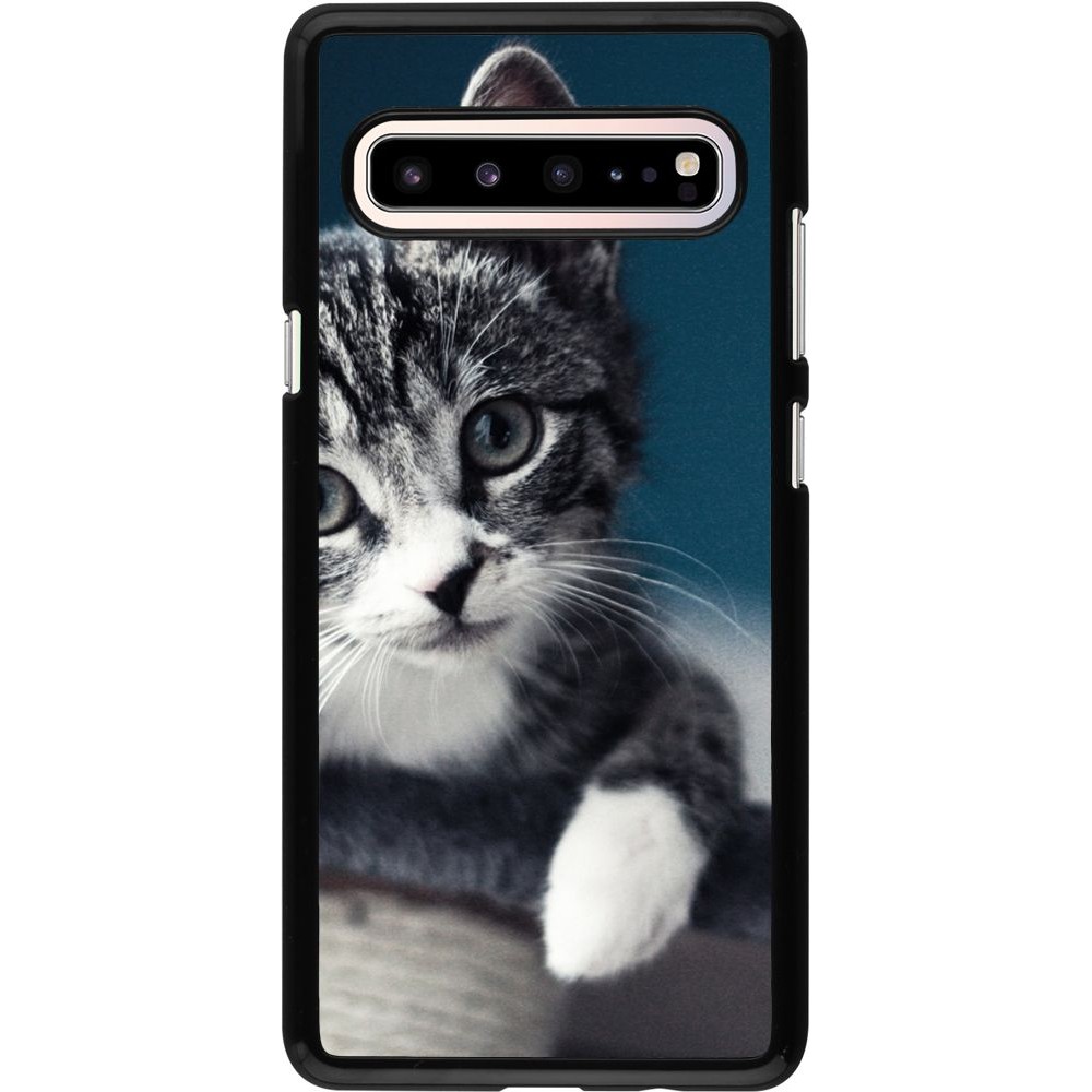Coque Samsung Galaxy S10 5G - Meow 23