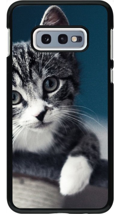 Hülle Samsung Galaxy S10e - Meow 23