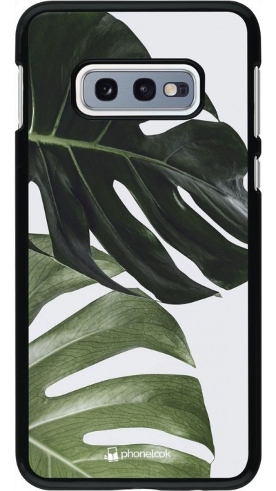 Coque Samsung Galaxy S10e - Monstera Plant