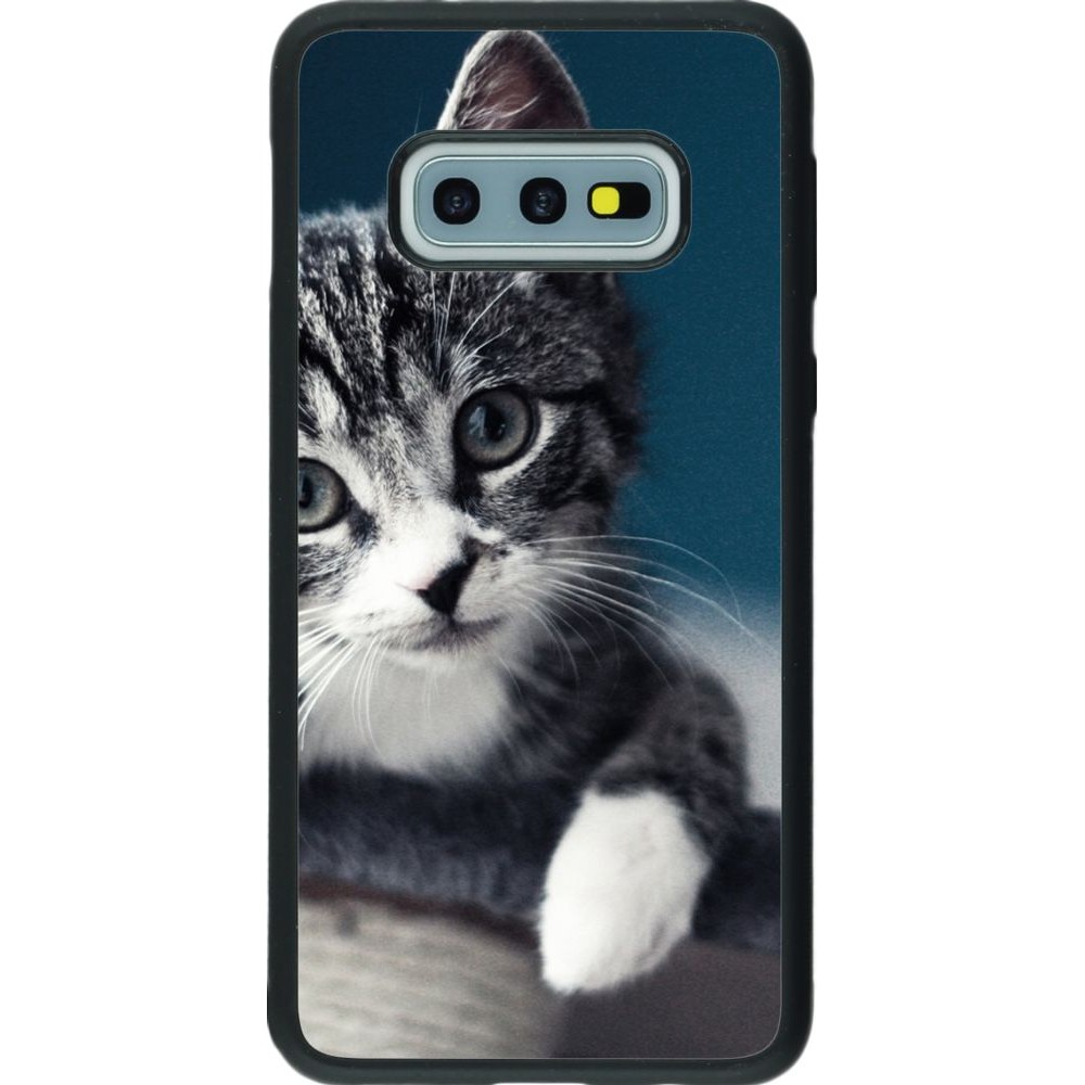 Coque Samsung Galaxy S10e - Silicone rigide noir Meow 23