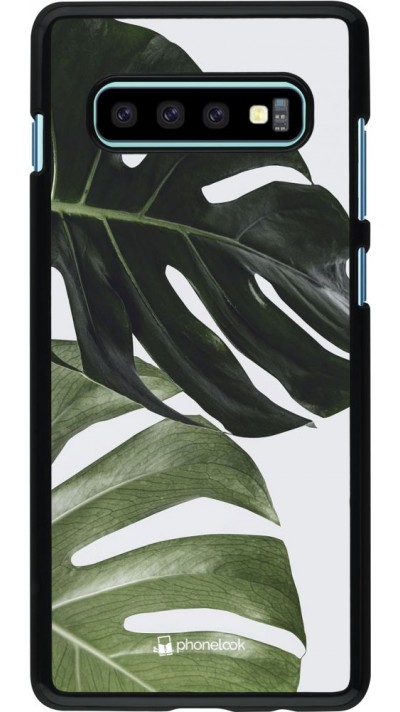 Coque Samsung Galaxy S10+ - Monstera Plant