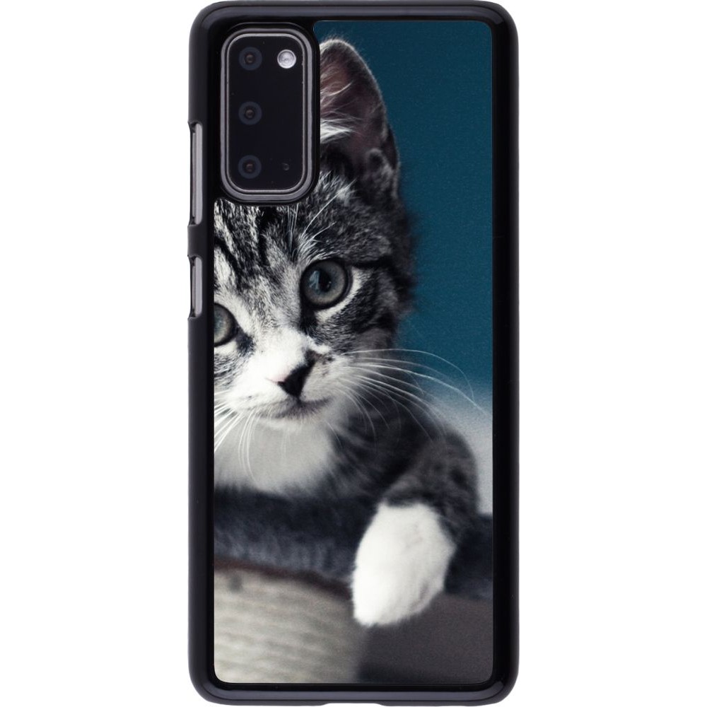 Hülle Samsung Galaxy S20 - Meow 23