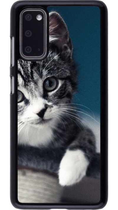 Hülle Samsung Galaxy S20 - Meow 23