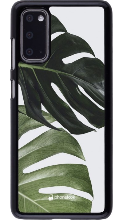 Coque Samsung Galaxy S20 - Monstera Plant