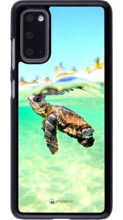 Coque Samsung Galaxy S20 - Turtle Underwater