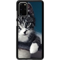 Coque Samsung Galaxy S20+ - Meow 23