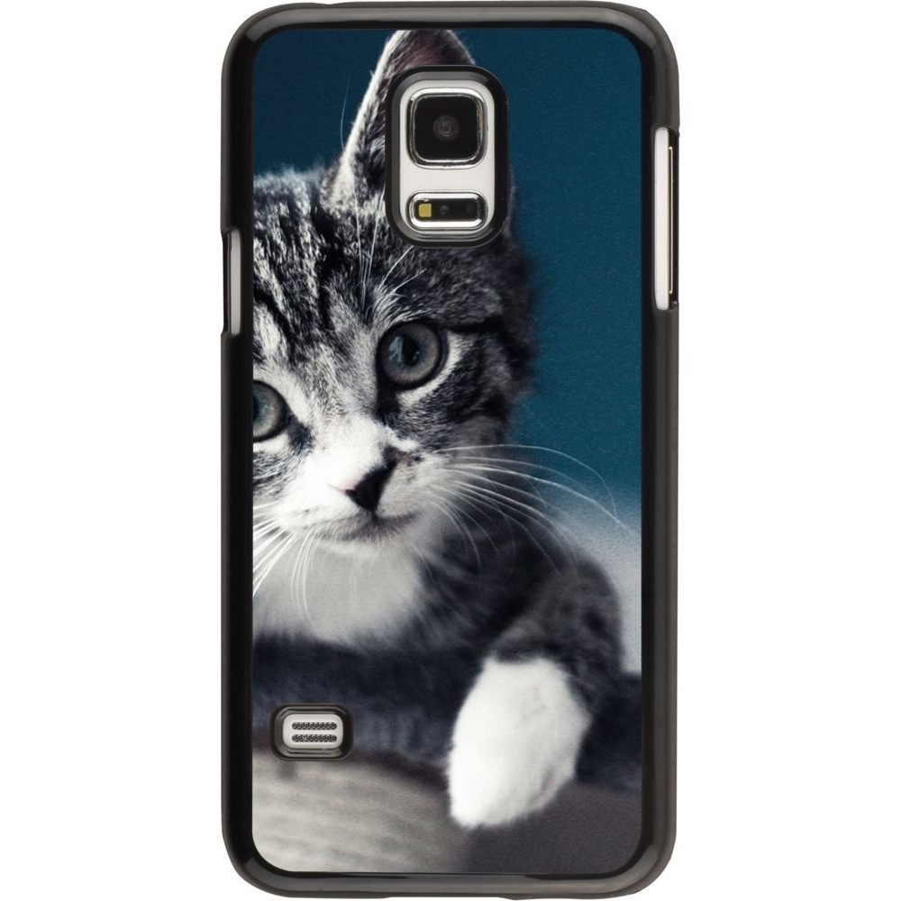 Hülle Samsung Galaxy S5 Mini - Meow 23