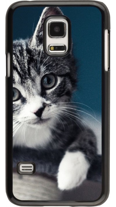 Hülle Samsung Galaxy S5 Mini - Meow 23