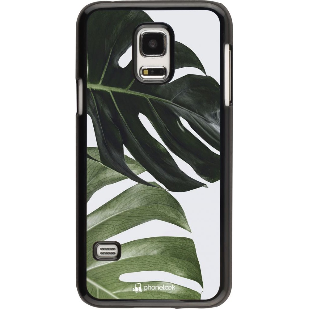 Hülle Samsung Galaxy S5 Mini - Monstera Plant