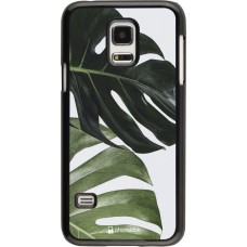 Coque Samsung Galaxy S5 Mini - Monstera Plant