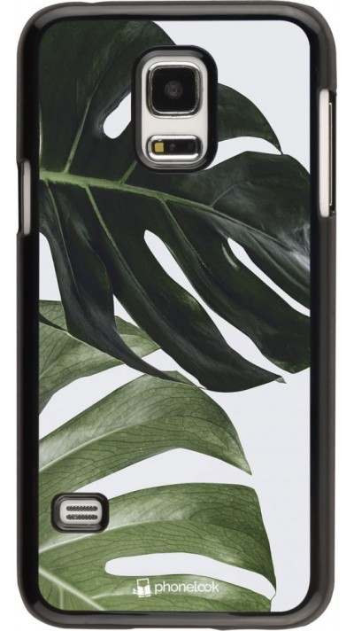 Coque Samsung Galaxy S5 Mini - Monstera Plant