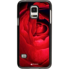 Hülle Samsung Galaxy S5 Mini - Valentine 2022 Rose