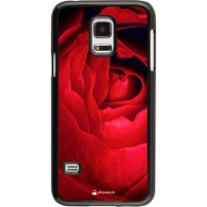 Coque Samsung Galaxy S5 Mini - Valentine 2022 Rose