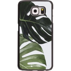 Coque Samsung Galaxy S6 - Monstera Plant