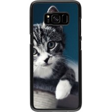 Hülle Samsung Galaxy S8 - Meow 23