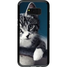 Coque Samsung Galaxy S8+ - Hybrid Armor noir Meow 23