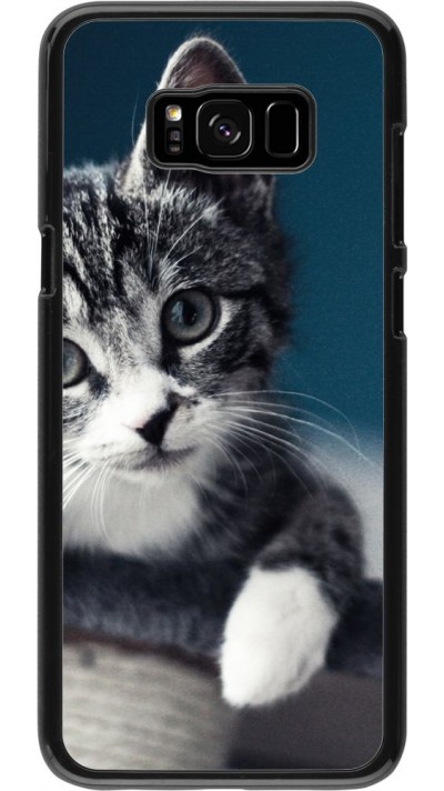 Coque Samsung Galaxy S8+ - Meow 23