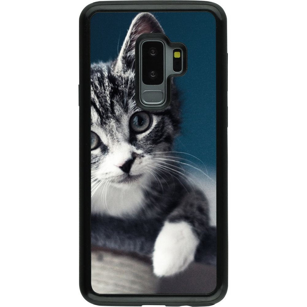 Coque Samsung Galaxy S9+ - Hybrid Armor noir Meow 23