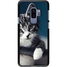 Coque Samsung Galaxy S9+ - Meow 23