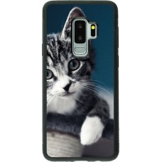 Coque Samsung Galaxy S9+ - Silicone rigide noir Meow 23