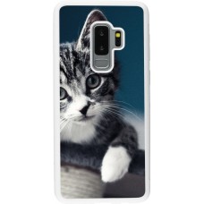 Hülle Samsung Galaxy S9+ - Silikon weiss Meow 23